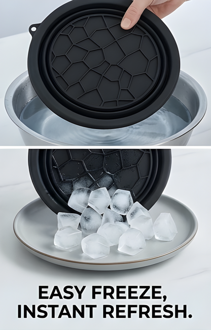 Silicone Ice Face Bowl with Built-in Ice Tray