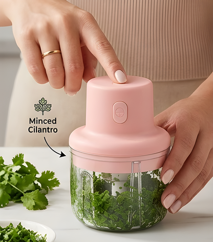 Mini electric Portable Chopper