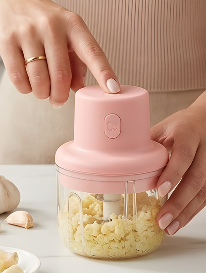 Mini electric Portable Chopper